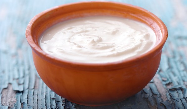 China interested in producing yogurt with Bulgarian yeast