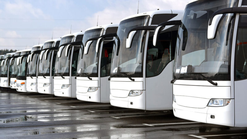 Cabinet determines the conditions, order and amount for provision of funds to bus carriers