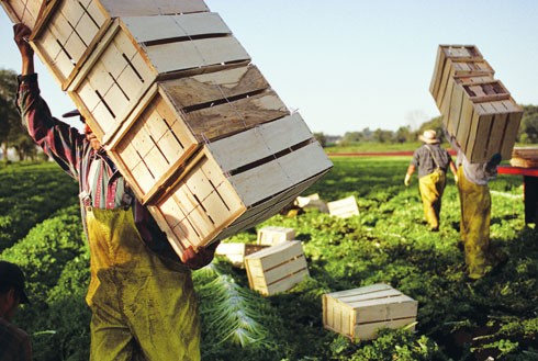 New Subsidies for Bulgarian Farmers in 2015