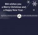 BIA wishes you a Merry Christmas and a Happy New Year